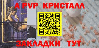 стаф Малгобек
